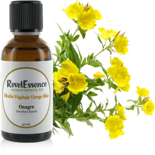 huile-vegetale-Onagre-50ml-visuel