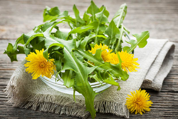 pissenlit-he-citron-miel-vegetal