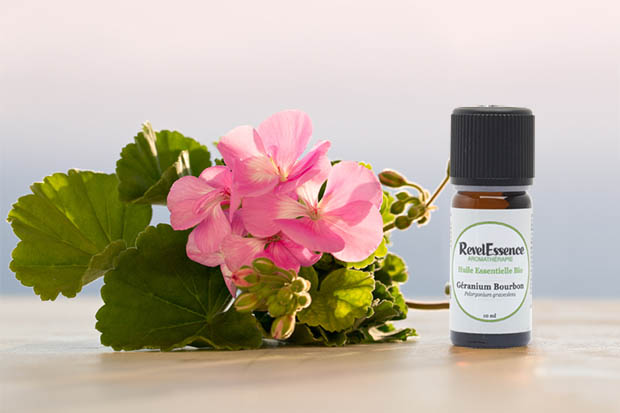 huile essentielle de géranium bourbon