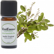 huile-essentielle-basilic-tropical-bio-10ml