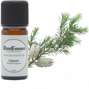 huile-essentielle-cajeput-bio-10ml