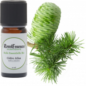 huile-essentielle-cedre-atlas-bio-10ml