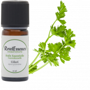 huile-essentielle-celeri-conventionnelle-10ml