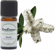huile-essentielle-niaouli-bio-10ml
