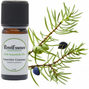 huile-essentielle-genevrier-commun-bio-10ml