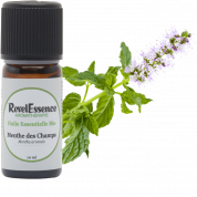 huile-essentielle-menthe-champs-bio-10ml