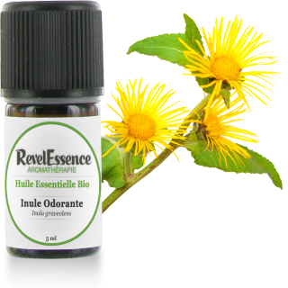 Huile-Essentielle-Inule-Odorante-5ml