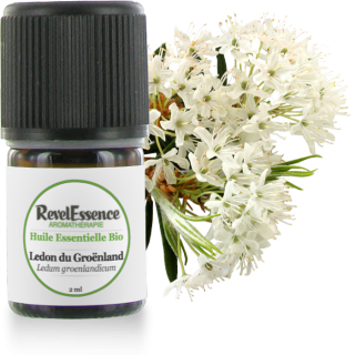 Huile-Essentielle-Ledon-du-groenland-2ml