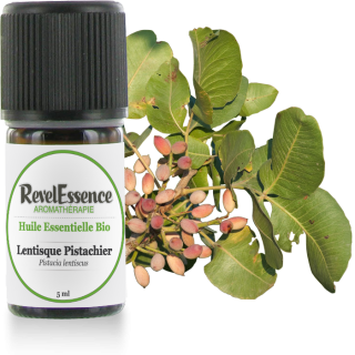Huile-Essentielle-Lentisque-Pistachier-5ml