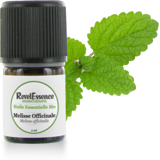 Huile-Essentielle-Melisse-Officinale-2ml