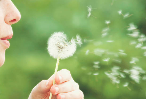 allergies-saisonnieres-aromatherapie