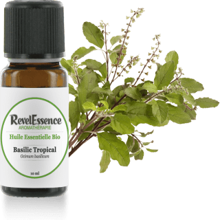 basilic-tropical-10-ml