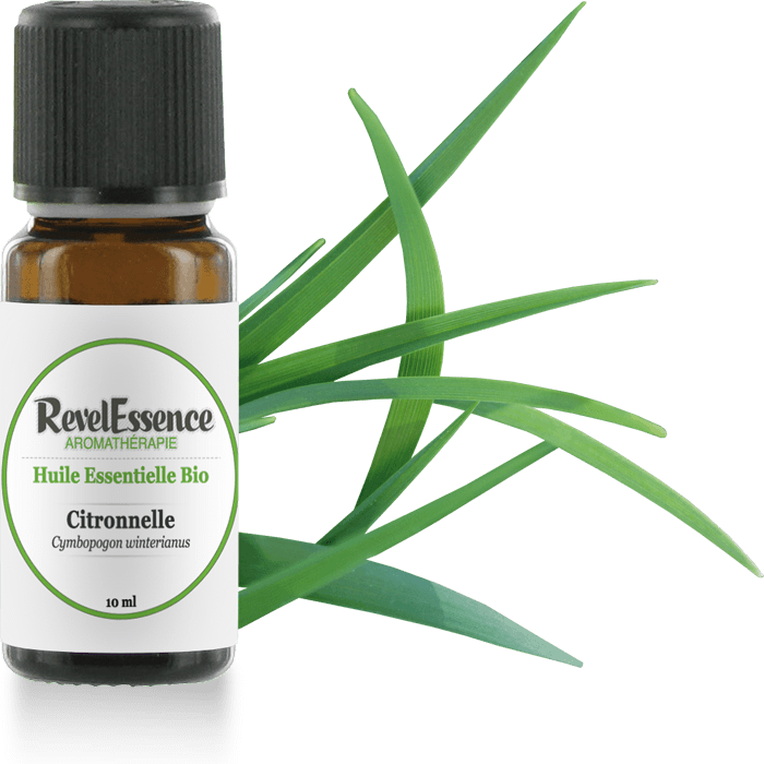 citronelle-10-ml