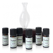 coffret assainissant d'huiles essentielles