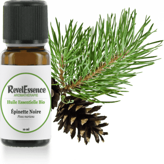 epinette-noire-10-ml