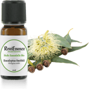 eucalyptus-smithii-10-ml