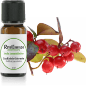 gaultherie-odorante-10-ml