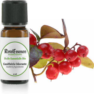 gaultherie-odorante-10-ml