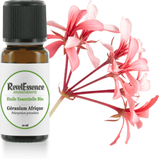 geranium-afrique-10-ml