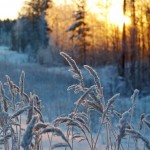 hiver-huiles-essentielles