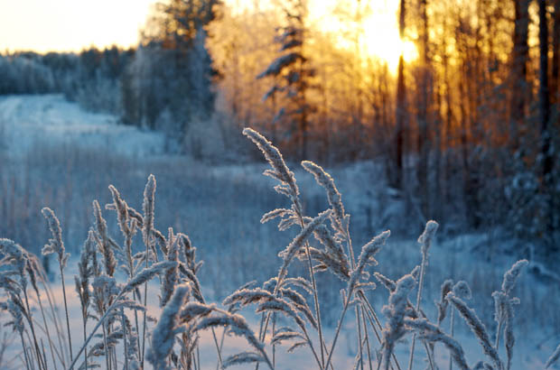 hiver-huiles-essentielles
