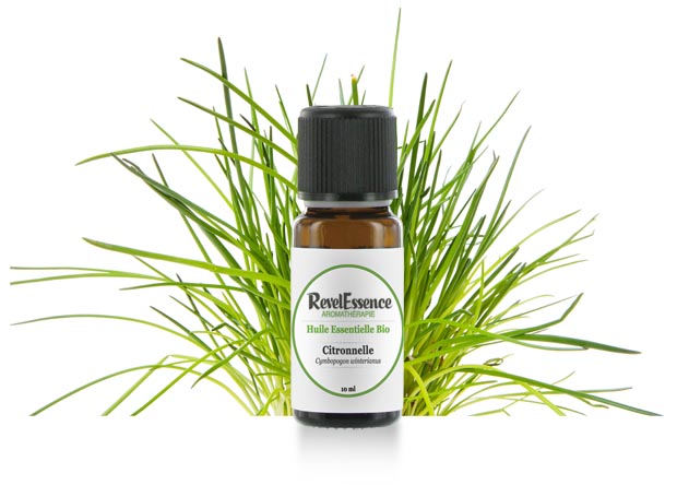 huile-essentielle-citronnelle-astuces