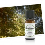 huile-essentielle-ravintsara-astuces