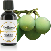 huile-vegetale-calophyllum-50-ml