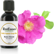 huile-vegetale-rosier-muscat-50-ml