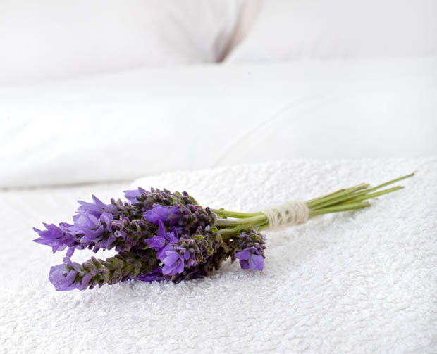 laver-parfumer-au-naturel