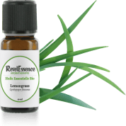 lemongrass-10-ml