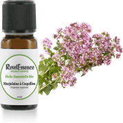 marjolaine-a-coquilles-10-ml