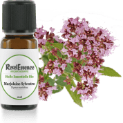 marjolaine-sylvestre-10-ml