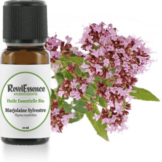 marjolaine-sylvestre-10-ml