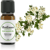 myrte-rouge-10-ml