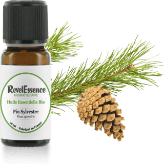 pin-sylvestre-10-ml