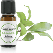 ravintsara-10-ml