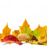 recette-automne-aromatherapie
