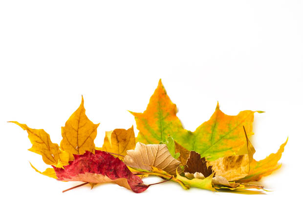 recette-automne-aromatherapie
