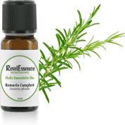 romarin-camphre-10-ml