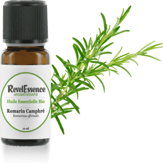 romarin-camphre-10-ml
