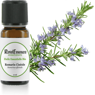 romarin-cineole-10-ml