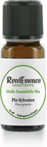 Pin Sylvestre