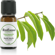 santal-amyris-10-ml