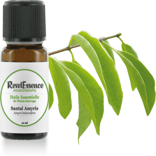 santal-amyris-10-ml