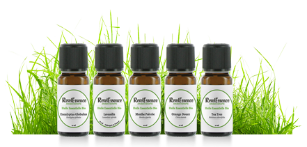 pack essentiel