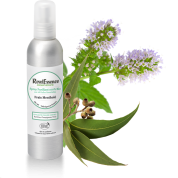 spray-purifiant-frais-menthole-180-ml