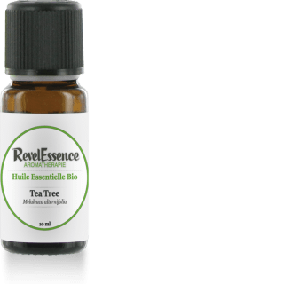 tea-tree-10-ml