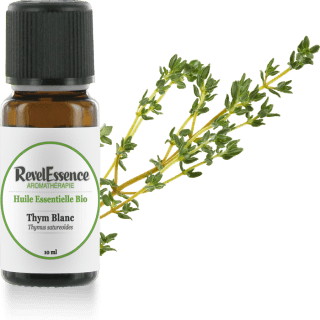 thym-blanc-10-ml
