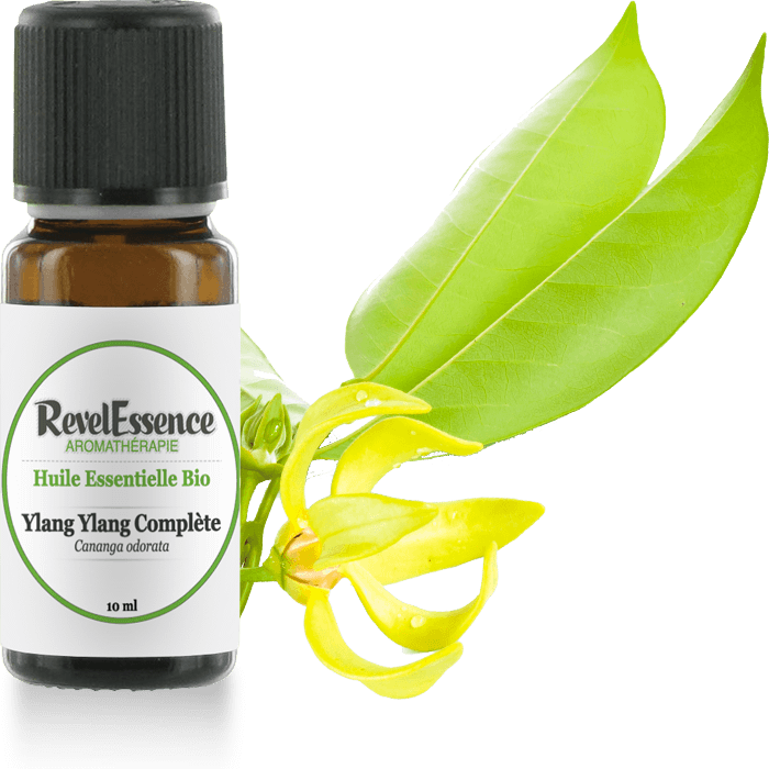 ylang-ylang-10-ml